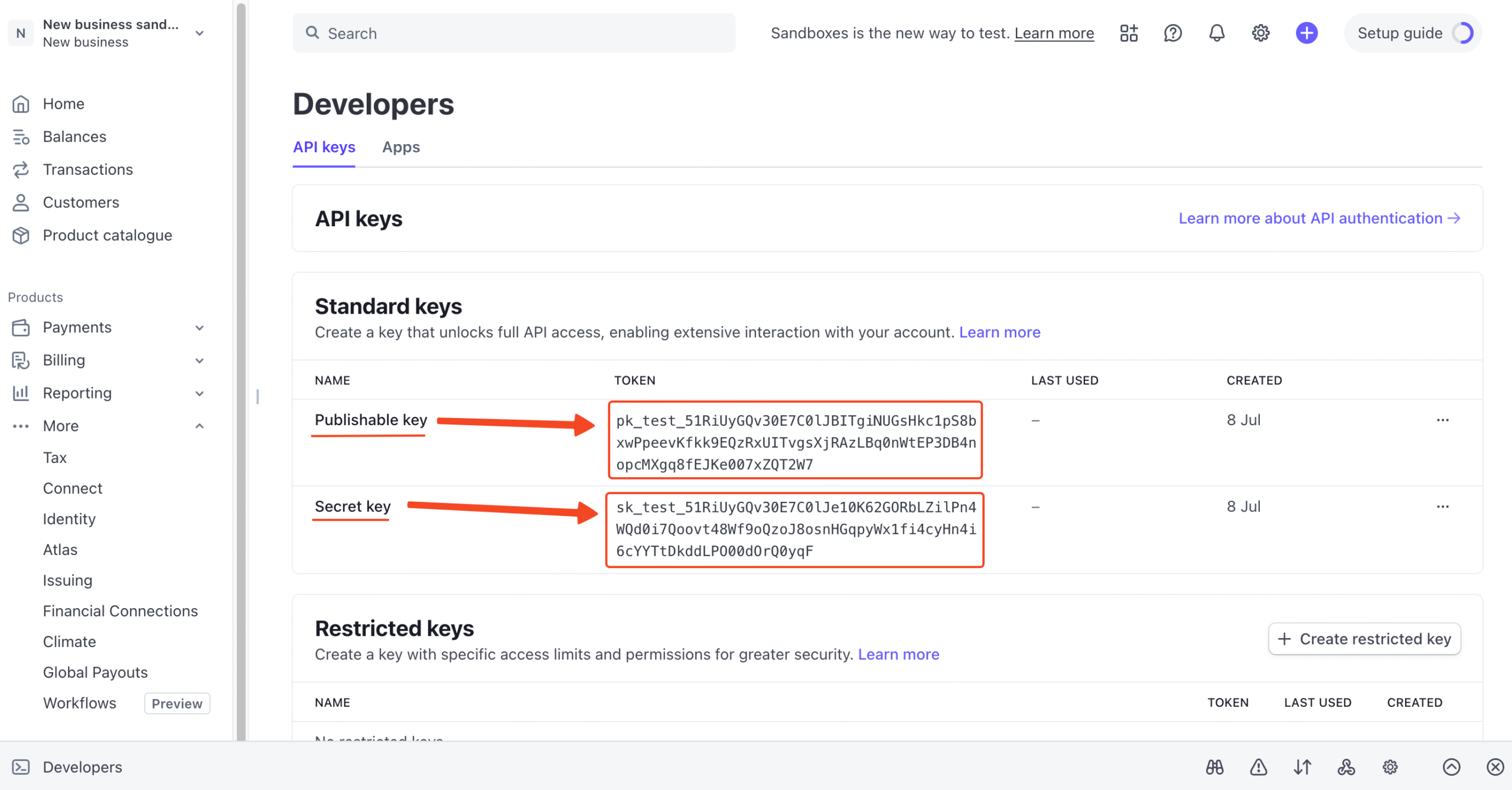 Stripe developer dashboard with Publishable Key and Secret Key in highlight. 